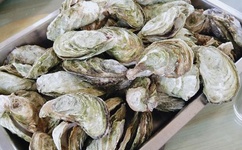 原神甘雨被史莱姆注入图片